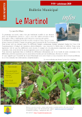 Bulletin municipal n°19